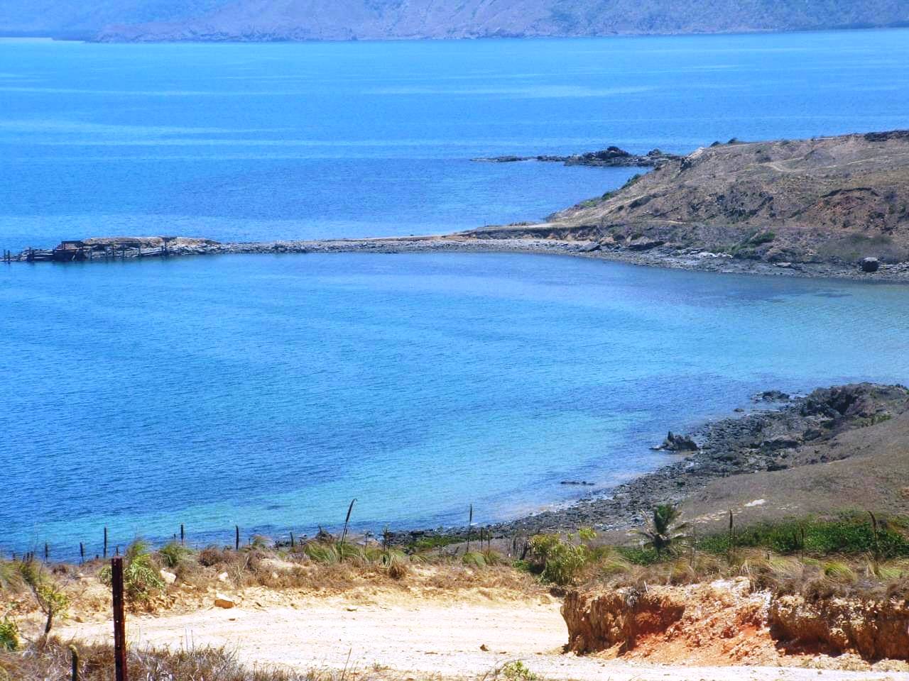 Gallery Archer Point